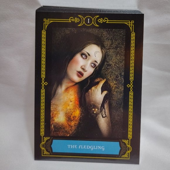 Wisdom of the House of Night Oracle Cards - Picture 6 of 11